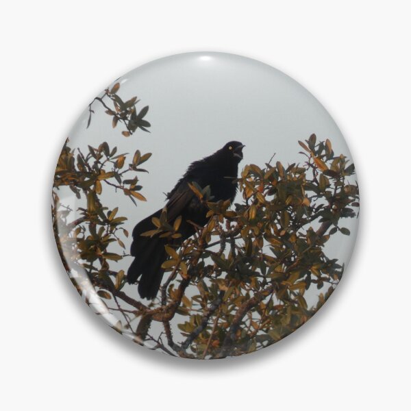 Item preview, The Great-tailed Grackle's Great Shout designed and sold by Birds-by-Bovi.