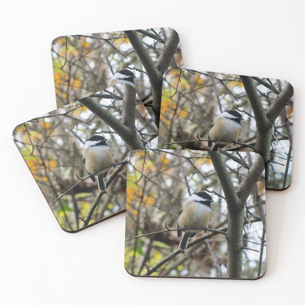 Item preview, Black-capped Chickadee Perched In A Tree designed and sold by BackyardBirder.