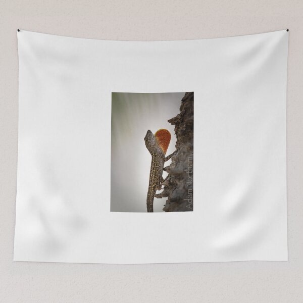 Item preview, Brown Anole designed and sold by Adam Northam.