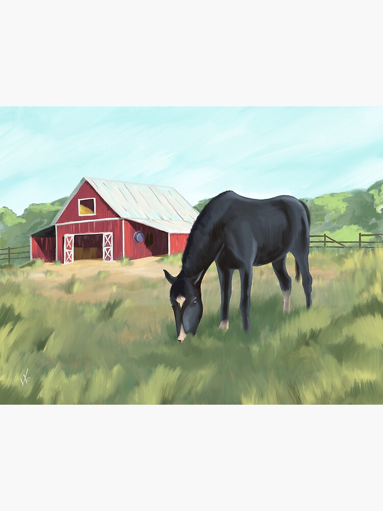 Horse grazing pasture by barn by DOODL