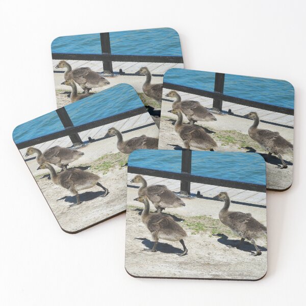 Item preview, A Family Of Canada Goose Goslings - Wild Canada Goose Bird designed and sold by BackyardBirder.