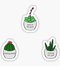 Succ-a for Puns Sticker
