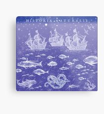 Natural History II in Blue | CreateArtHistory Metal Print