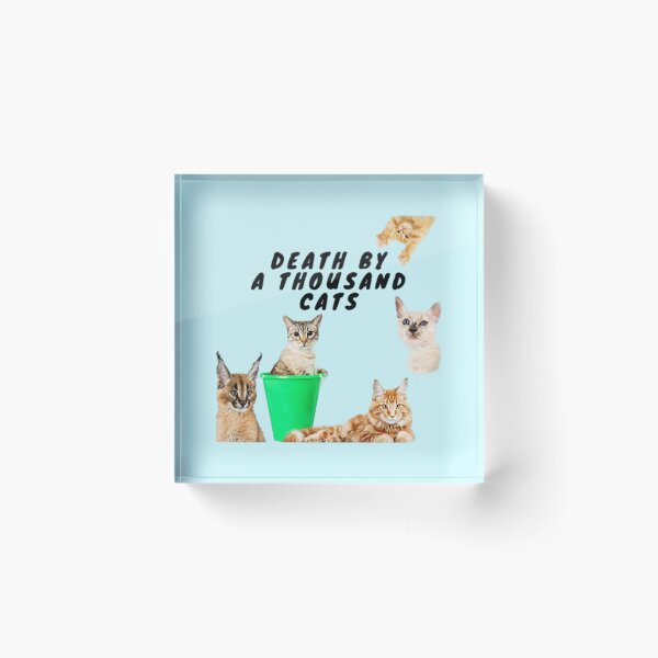 Artikelvorschau, Tod durch tausend Katzen Taylor Swift Lover Album Meme entworfen und verkauft von DivyanshuSSS.