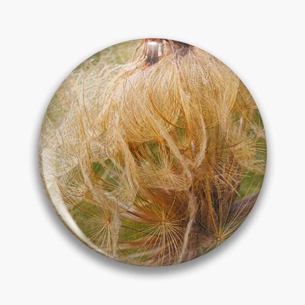 Item preview, Seed Pod Its Not What You Think  designed and sold by Joy Watson - Natural Light Photography .