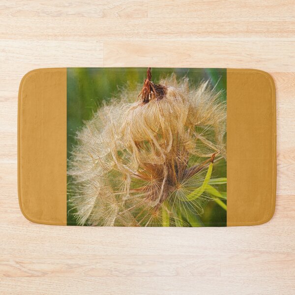 Item preview, Seed Pod Its Not What You Think  designed and sold by Joy Watson - Natural Light Photography .