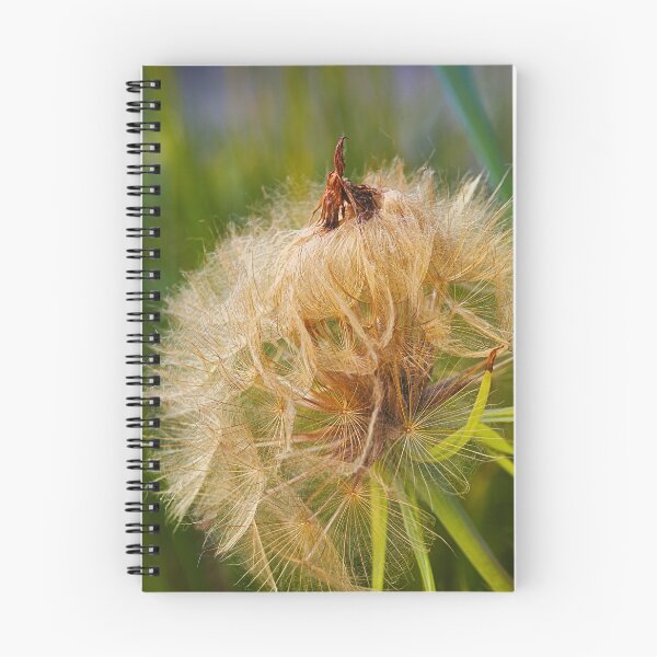 Item preview, Seed Pod Its Not What You Think  designed and sold by Joy Watson - Natural Light Photography .