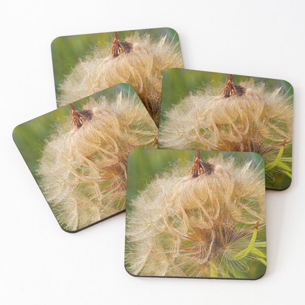 Item preview, Seed Pod Its Not What You Think  designed and sold by Joy Watson - Natural Light Photography .