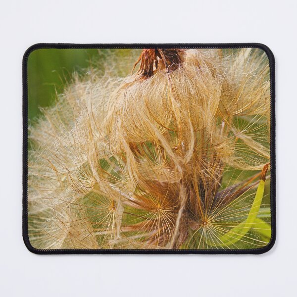 Item preview, Seed Pod Its Not What You Think  designed and sold by Joy Watson - Natural Light Photography .