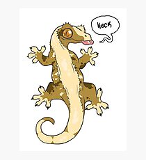 Heck Geck Photographic Print