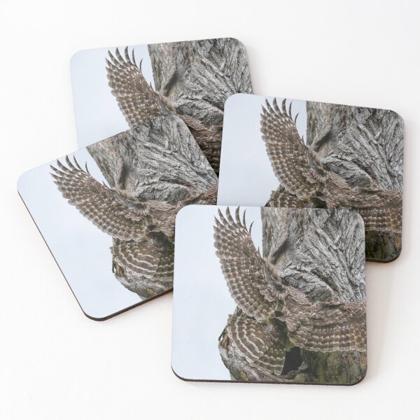 Item preview, Mama Barred owl with Wings Spread designed and sold by Puttaswamy Ravishankar.