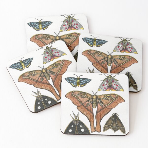 Item preview, Australian Moths designed and sold by Sarah Sheldon.