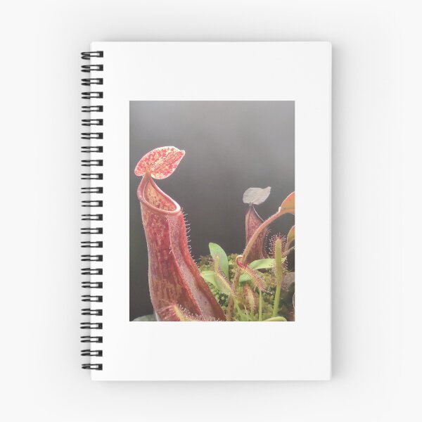 Item preview, Nepenthes pitcher carnivorous plant #1 designed and sold by Deathplant.