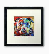 Stafforshire Bull Terrier Framed Print
