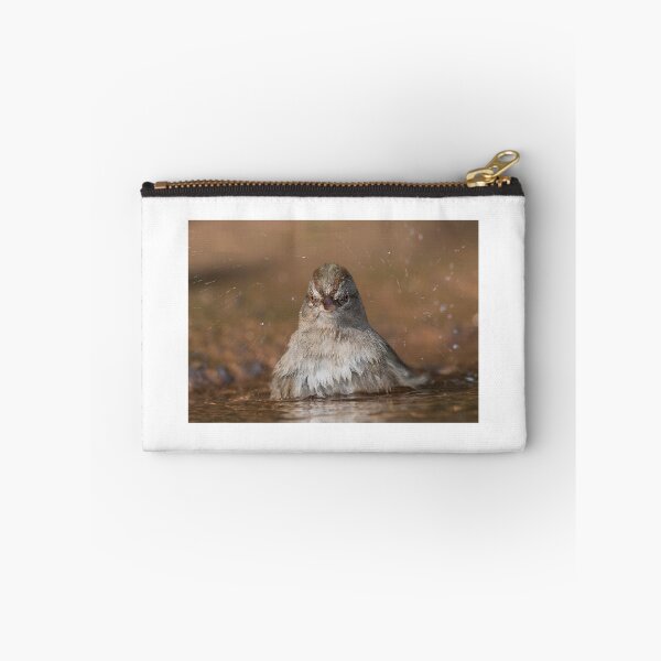 Item preview, Canyons towhee taking a Bath designed and sold by Puttaswamy Ravishankar.
