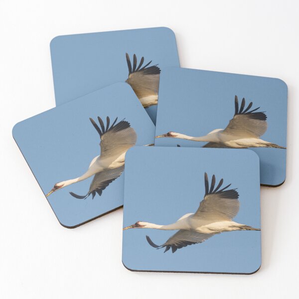 Item preview, Whooping crane in Flight designed and sold by Puttaswamy Ravishankar.