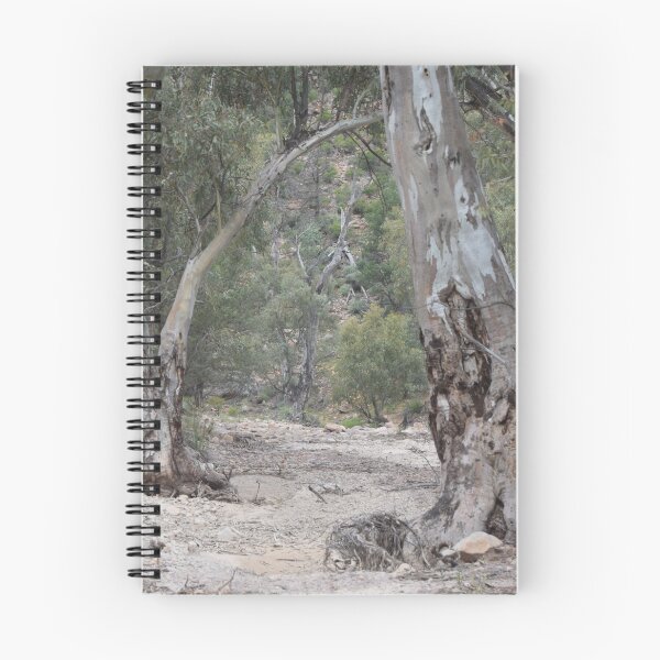 Item preview, Riverbed Trees, Flinders Ranges designed and sold by Lorraine McCarthy.