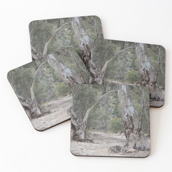Item preview, Riverbed Trees, Flinders Ranges designed and sold by Lorraine McCarthy.