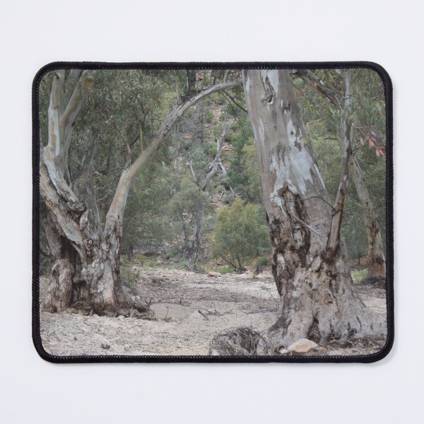 Item preview, Riverbed Trees, Flinders Ranges designed and sold by Lorraine McCarthy.