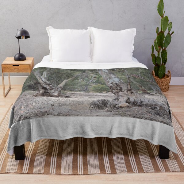 Item preview, Riverbed Trees, Flinders Ranges designed and sold by Lorraine McCarthy.