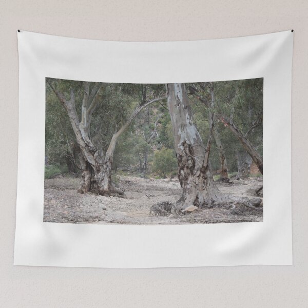 Item preview, Riverbed Trees, Flinders Ranges designed and sold by Lorraine McCarthy.