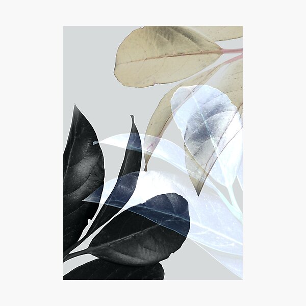 Item preview, Bohemian, Tropical Plant Leaves designed and sold by PrintsProject.
