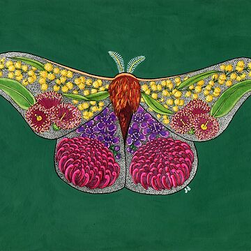 Artwork thumbnail, Australian Botanical Moth by Sarah Sheldon