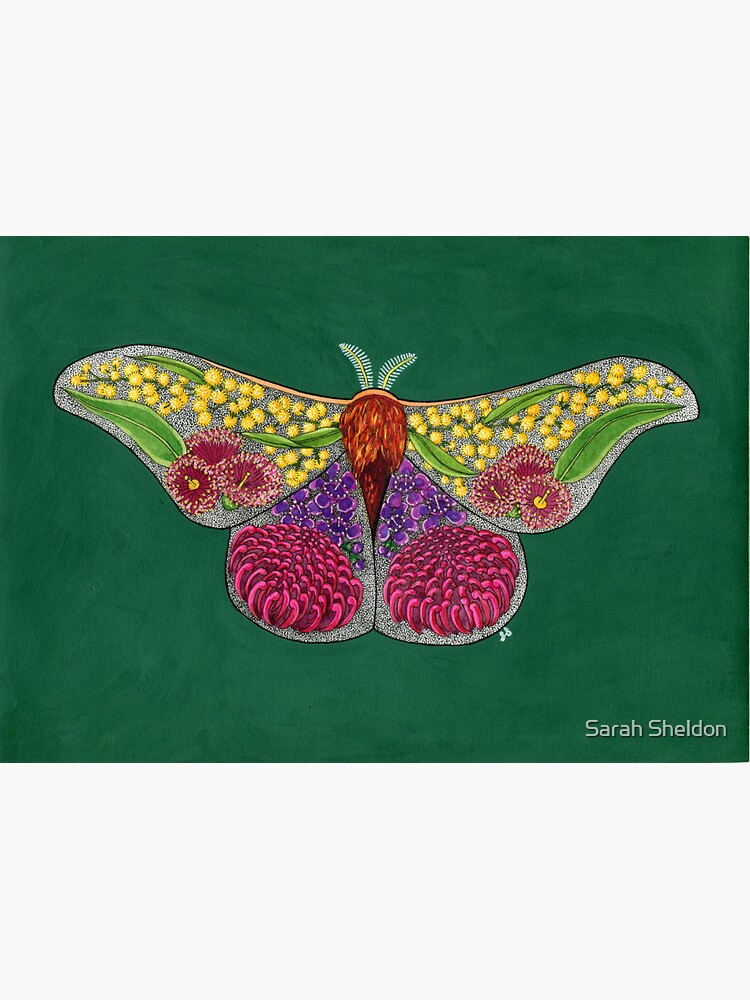 Australian Botanical Moth by avibrantnest