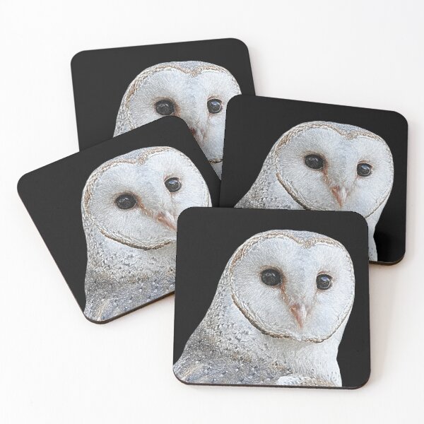 Item preview, Barn Owl face digital drawing designed and sold by quentinjlang.