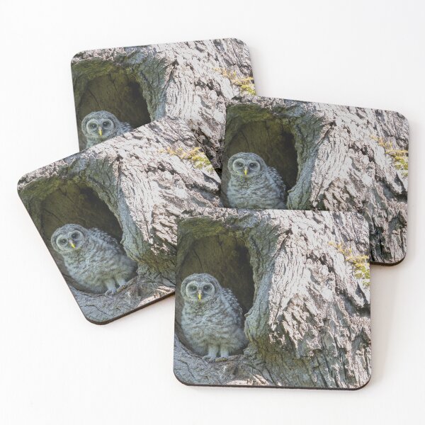 Item preview, Thinking About Fledging Today designed and sold by Puttaswamy Ravishankar.