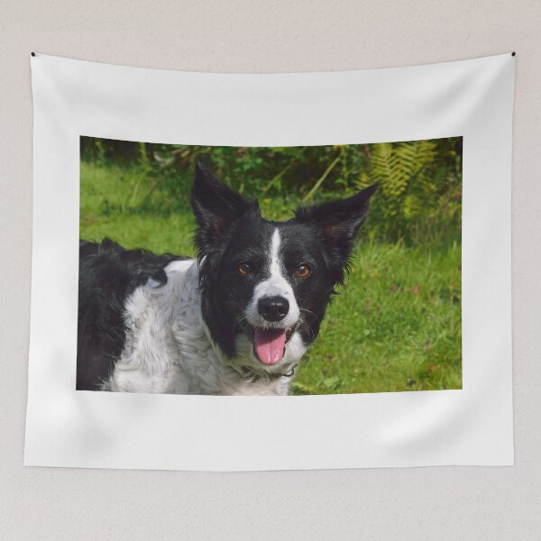 Item preview, Tess designed and sold by Michael Haslam.