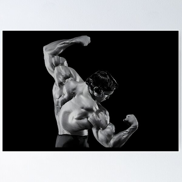 Frank Zane | Frank zane, Bodybuilding pictures, Arnold bodybuilding