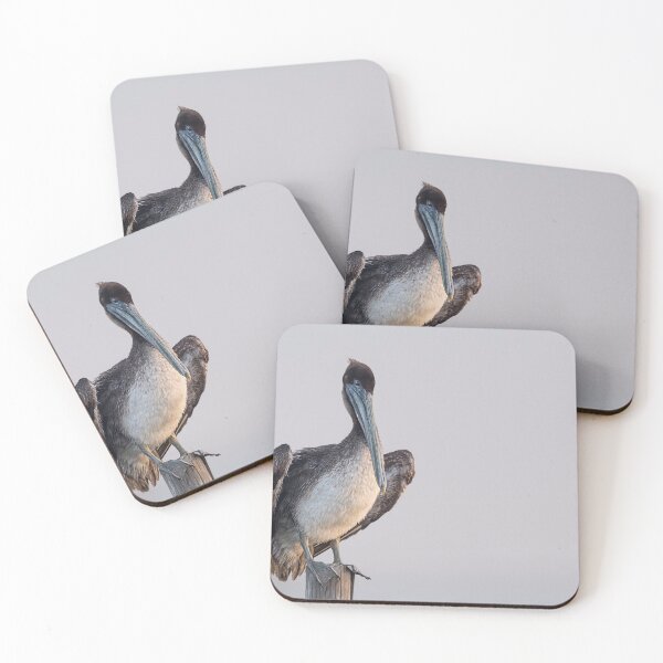 Item preview, Brown pelican designed and sold by Puttaswamy Ravishankar.