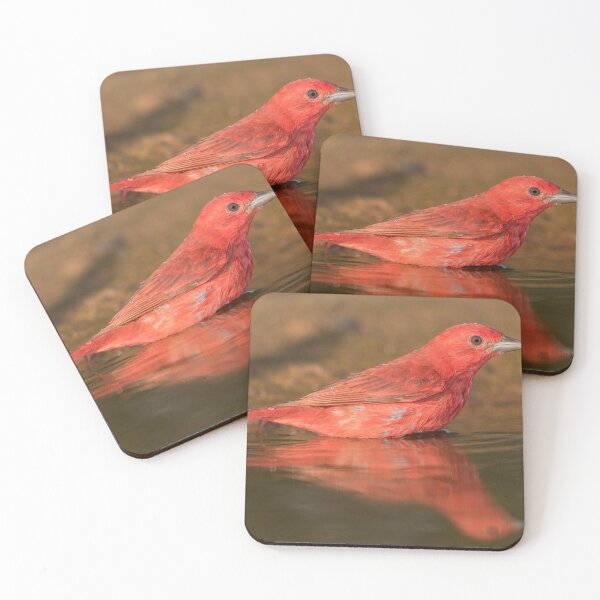 Item preview, Summer Tanager designed and sold by Puttaswamy Ravishankar.