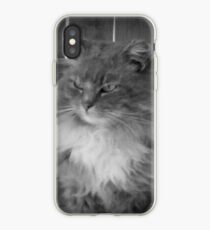 Fabulous Feline iPhone Case
