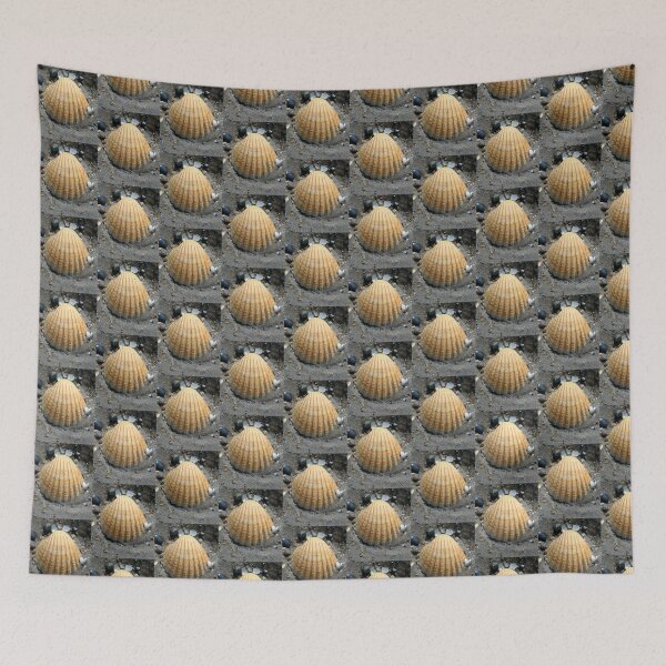 Item preview, shell designed and sold by KathleenDawson.