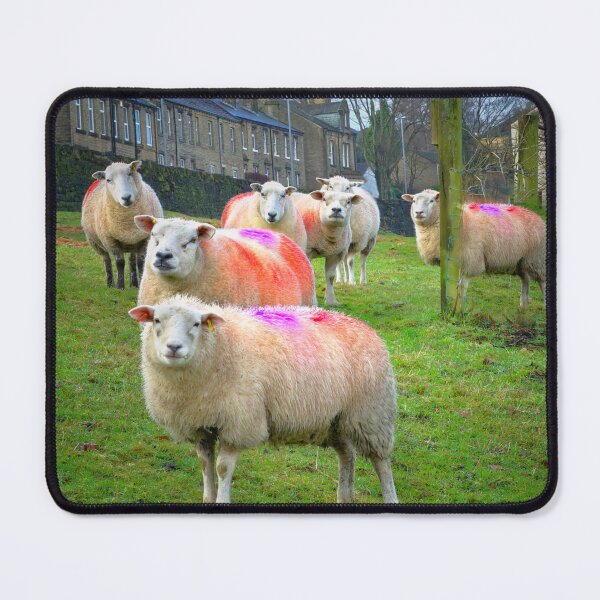 Item preview, Colourful Flock of Sheep designed and sold by Alisonchambers2.