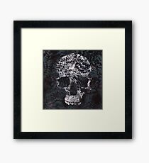 death Framed Print