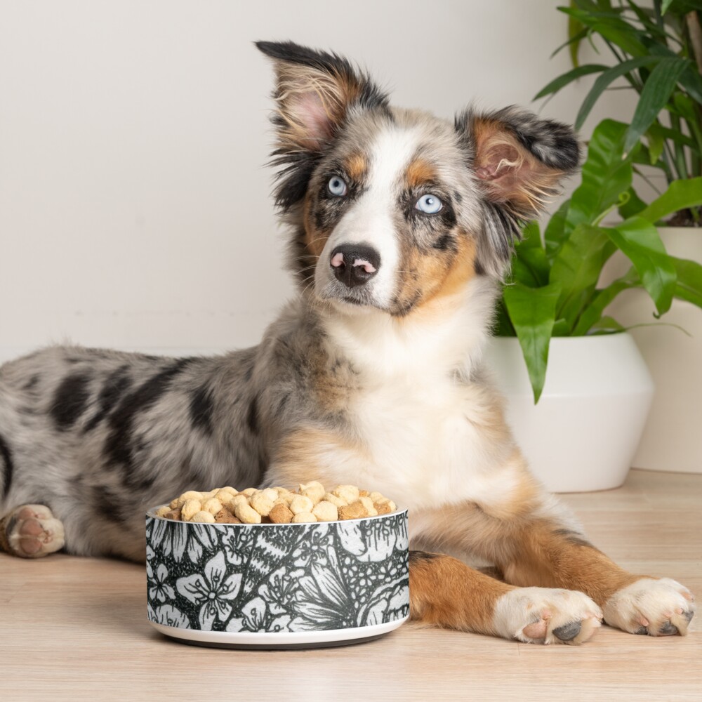 Item preview, Pet Bowl designed and sold by avibrantnest.