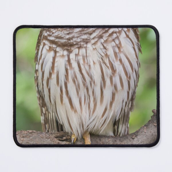 Item preview, Focused Gaze designed and sold by Puttaswamy Ravishankar.