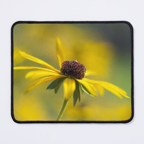 Item preview, Rudbeckia Flower designed and sold by Alisonchambers2.