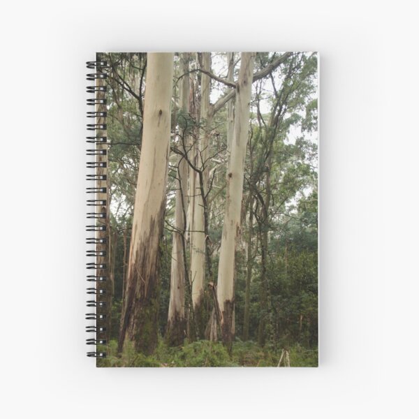 Item preview, Mountain Ash, Mt Macedon designed and sold by Susan Henry.