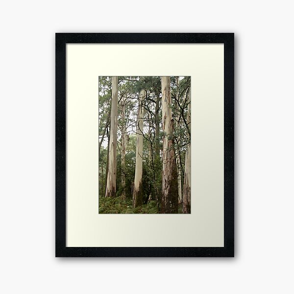 Item preview, Mountain Ash, Mt Macedon designed and sold by Susan Henry.