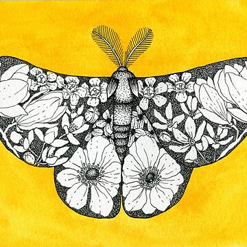 Artwork thumbnail, Golden Botanical Moth by Sarah Sheldon