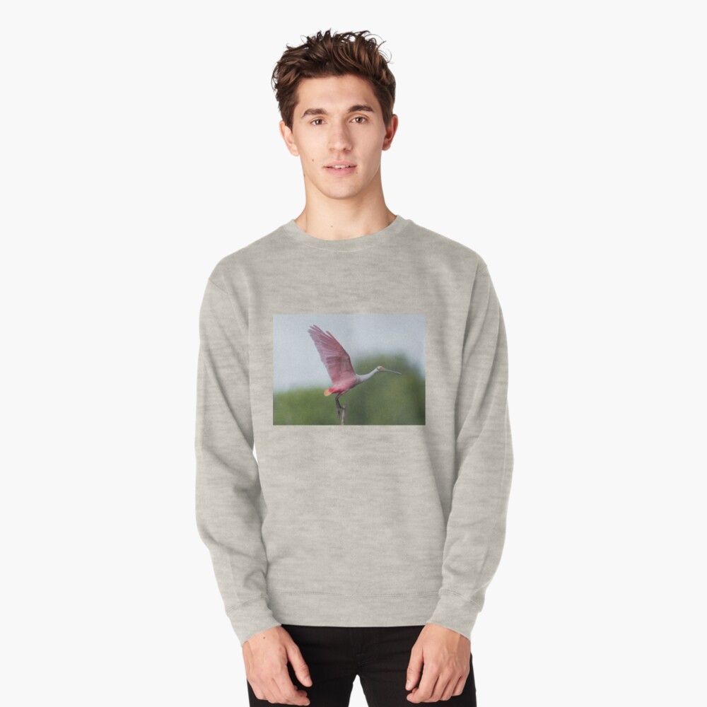 Item preview, Pullover Sweatshirt designed and sold by rshankar8080.