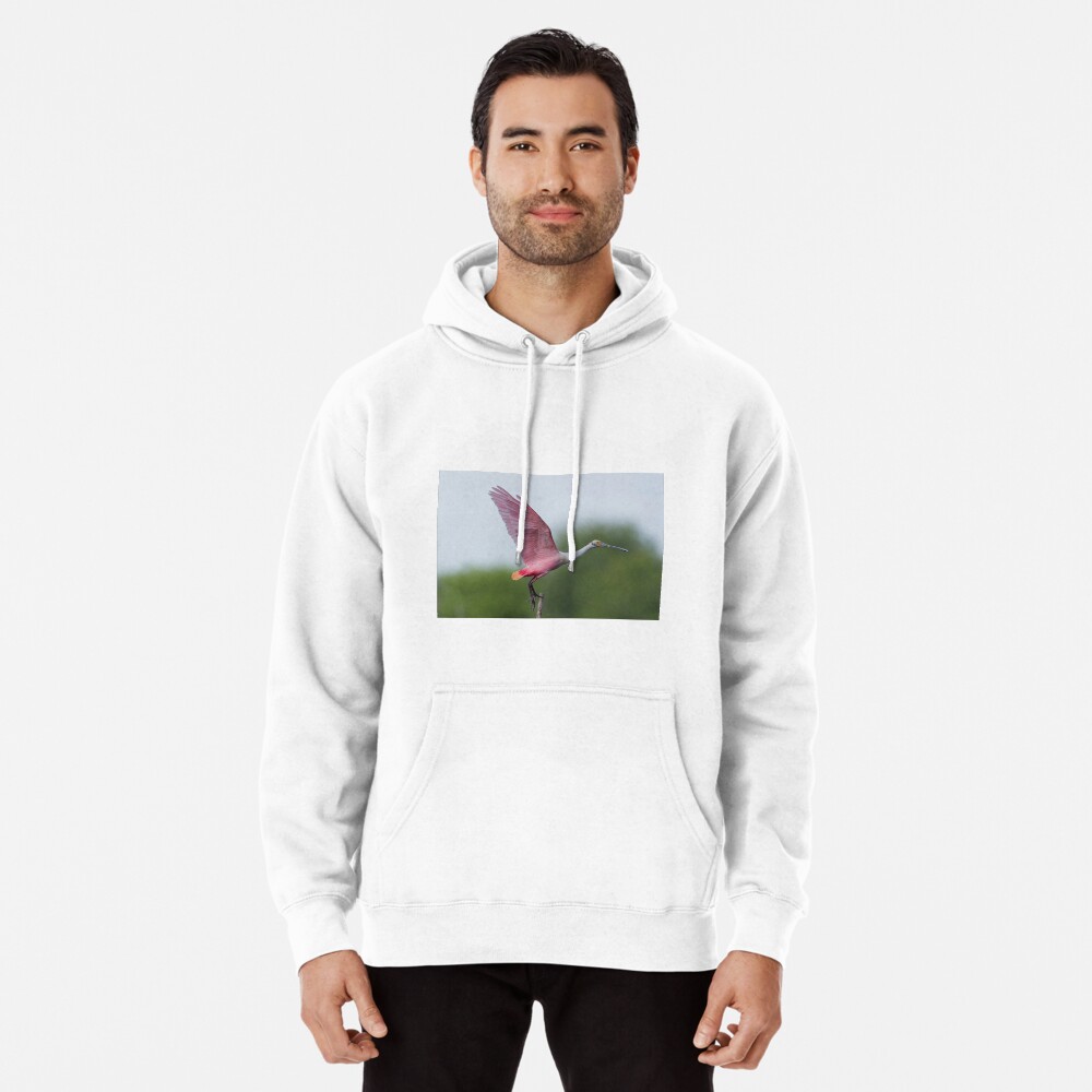 Item preview, Pullover Hoodie designed and sold by rshankar8080.