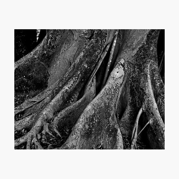 Item preview, Tree designed and sold by mdelva.