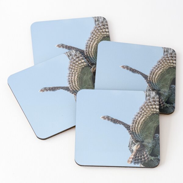 Item preview, Feeding on the fly designed and sold by Puttaswamy Ravishankar.