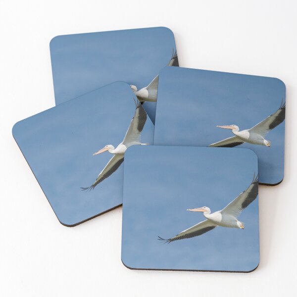 Item preview, Great white pelican in flight designed and sold by Puttaswamy Ravishankar.