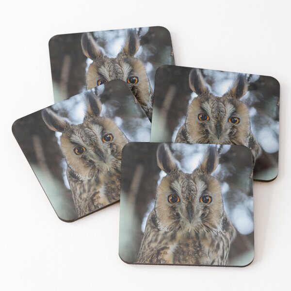 Item preview, Portrait of a Long-eared owl designed and sold by Puttaswamy Ravishankar.